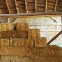 Our Barns