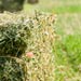 Alfalfa Bales