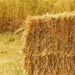 Straw Bales